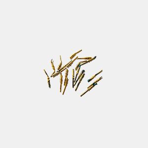 ШР РС вилка лигатура.jpg